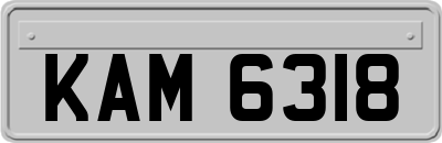 KAM6318