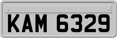 KAM6329