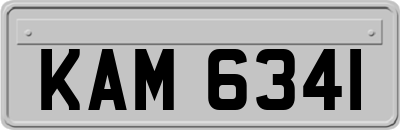 KAM6341
