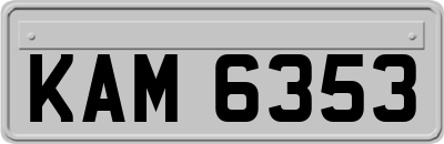 KAM6353