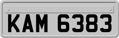 KAM6383