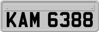 KAM6388