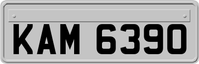 KAM6390