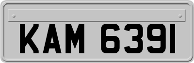 KAM6391