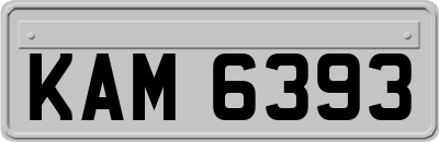 KAM6393
