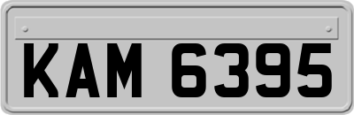 KAM6395