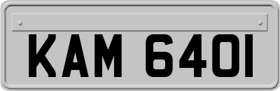 KAM6401