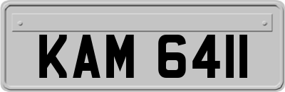 KAM6411