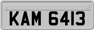 KAM6413