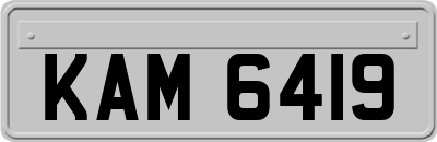 KAM6419