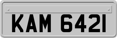 KAM6421