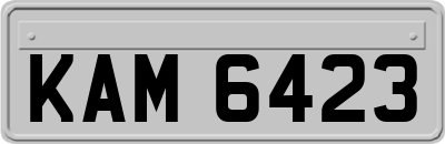 KAM6423