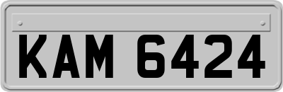 KAM6424
