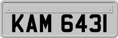 KAM6431