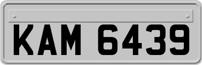 KAM6439