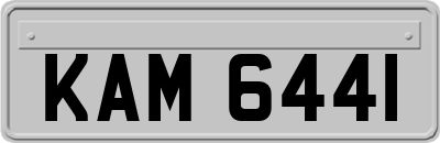 KAM6441