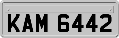 KAM6442