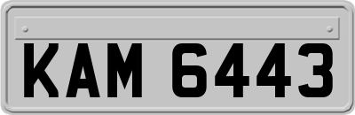 KAM6443