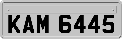 KAM6445