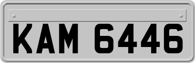 KAM6446
