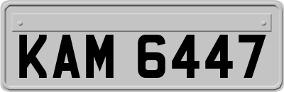 KAM6447