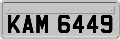KAM6449