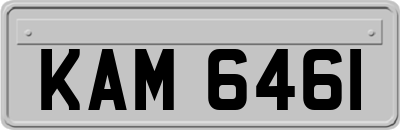 KAM6461
