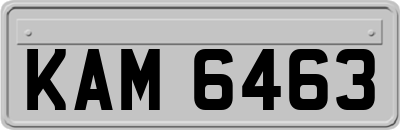 KAM6463