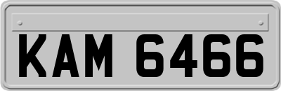KAM6466