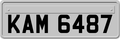 KAM6487