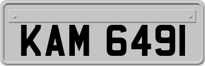 KAM6491