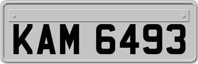 KAM6493