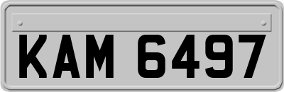 KAM6497