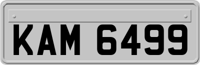 KAM6499