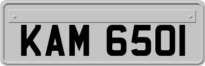 KAM6501