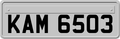 KAM6503