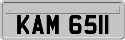 KAM6511