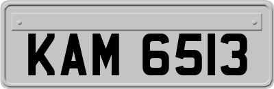 KAM6513