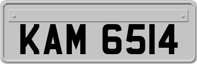 KAM6514