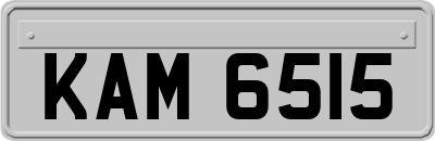 KAM6515