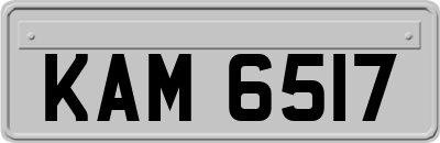 KAM6517