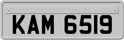 KAM6519