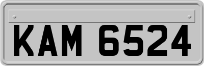 KAM6524