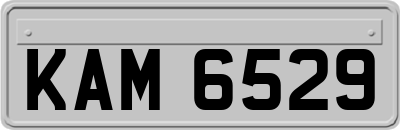 KAM6529