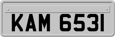 KAM6531