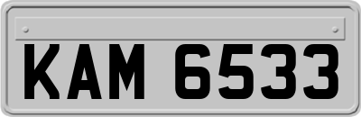 KAM6533