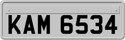 KAM6534