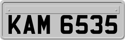 KAM6535