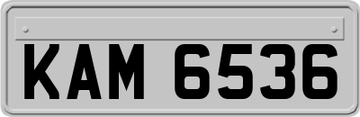 KAM6536