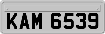 KAM6539